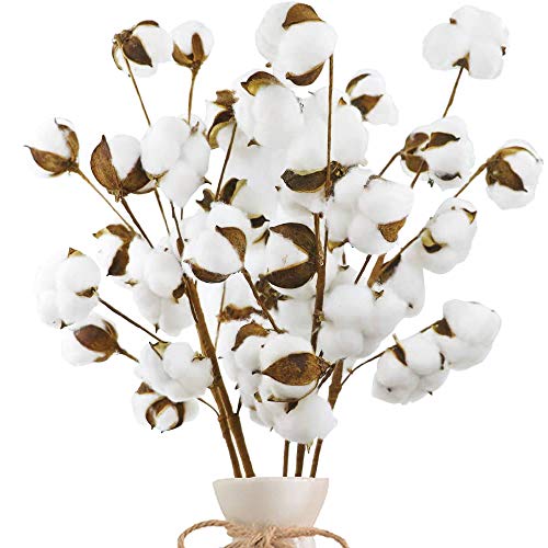Coceca 5pcs 23" Cotton Stems Fake Cotton Flowers with 10 Cotton Heads, Cotton Decor for Farmhous Flowers Decoration