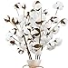 Coceca 5pcs 23" Cotton Stems Fake Cotton Flowers with 10 Cotton Heads, Cotton Decor for Farmhous Flowers Decoration