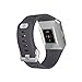 Fitbit Ionic GPS Smart Watch, Blue-Gray/Silver, One Size (S and L Bands Included)