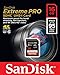 SanDisk 16GB Extreme PRO SDHC UHS-I Card (SDSDXPA-016G-X46)
